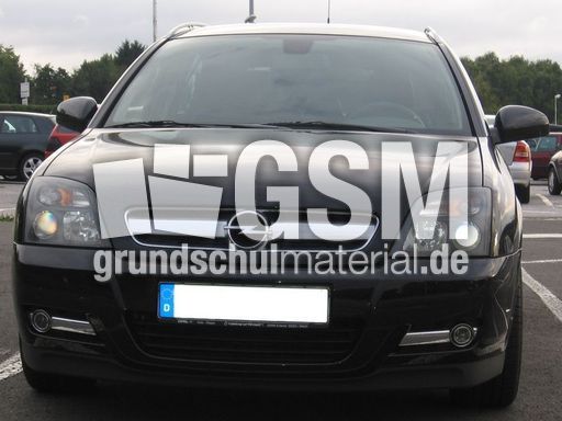 Opel Signum_3.JPG